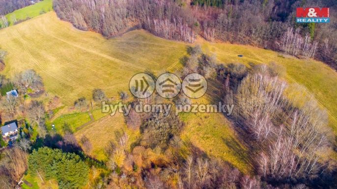 Prodej, Louka, Žandov