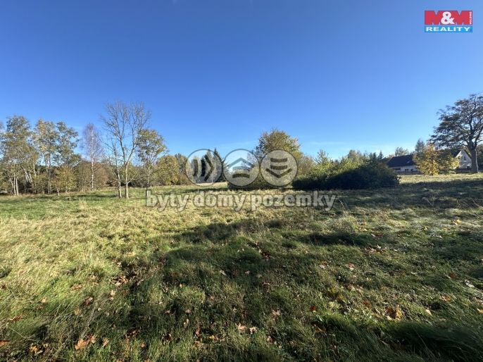 Prodej, Vodní plocha, Nové Město pod Smrkem