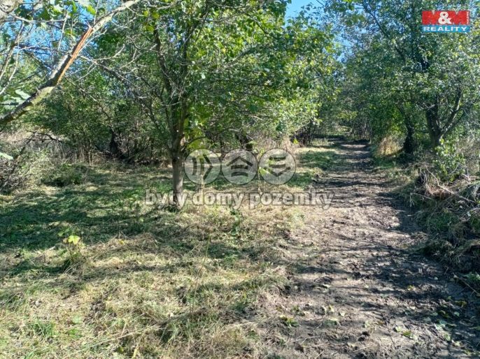 Prodej, Zahrada, Olomouc