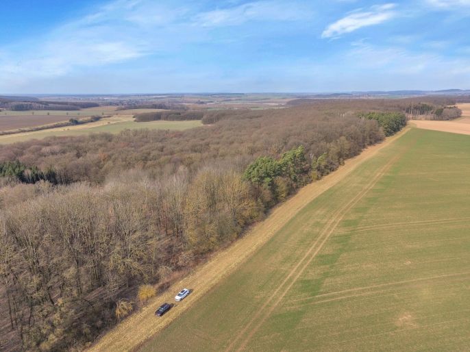 Prodej, Les, Slatiny