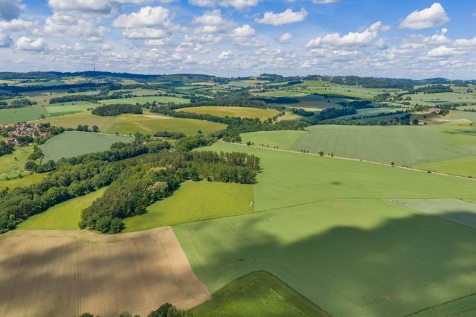 Prodej, Zemědělská usedlost, Neustupov