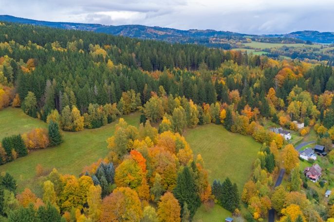 Prodej, Louka, Tanvald