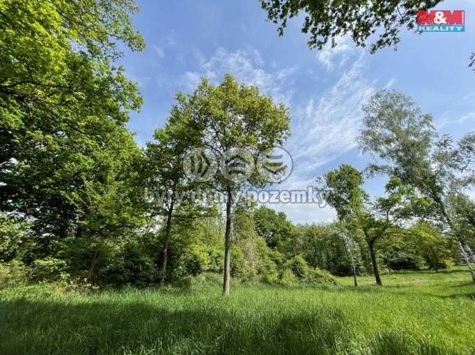 Prodej, Zahrada, Jeníkov