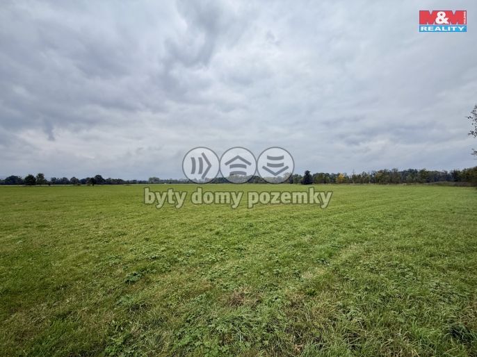 Prodej, Pole, Bohuslavice