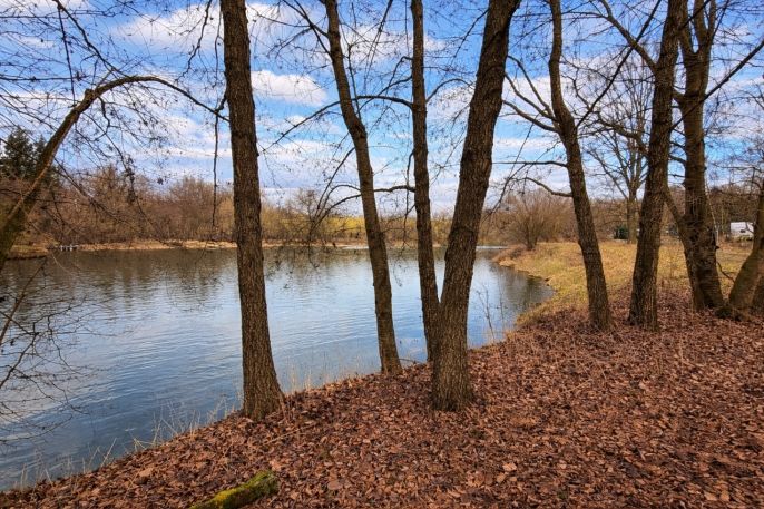 Prodej, Komerční pozemky, Křečovice