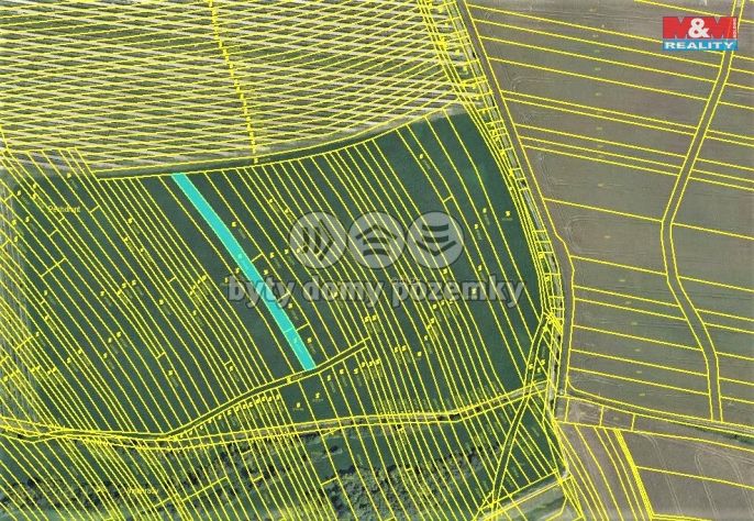 Prodej, Vinice, Vracov