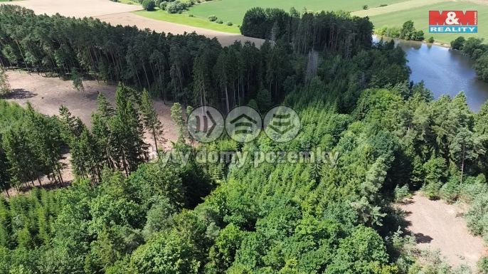 Prodej, Les, Opařany