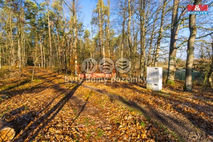 Prodej, Chata, Týniště nad Orlicí