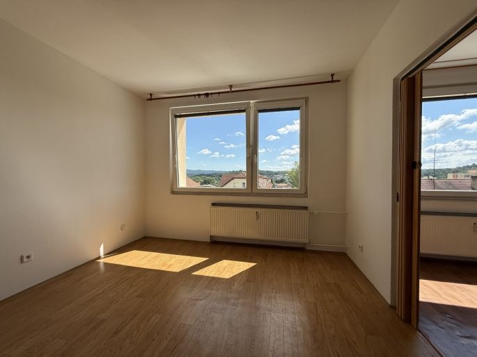 Pronájem, Byt 1+1, Protivín