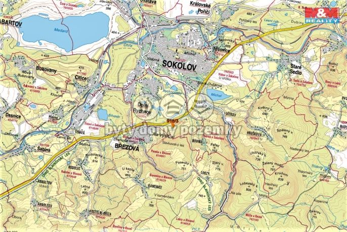 Prodej, Les, Dolní Rychnov