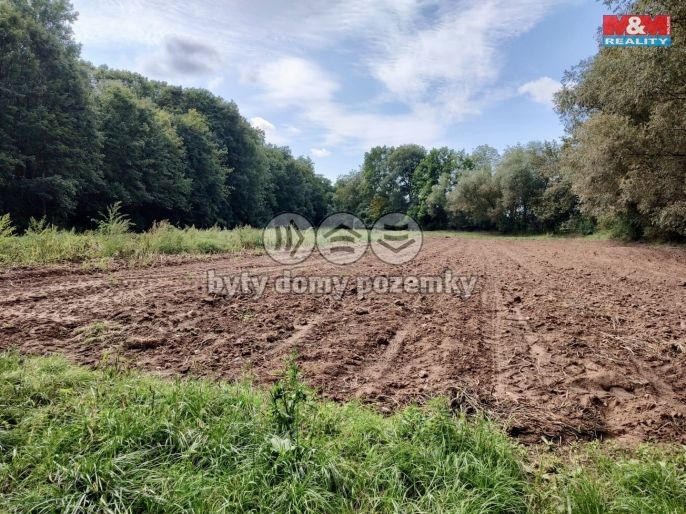 Prodej, Pole, Libořice