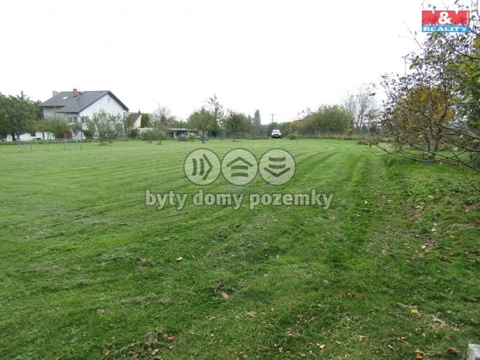 Prodej, Zahrada, Holasovice