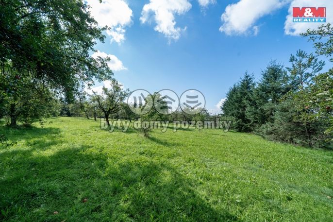 Pronájem, Zahrada, Letkov