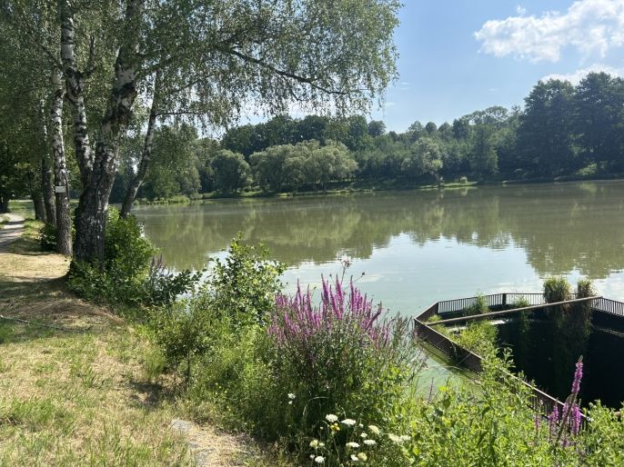 Prodej, Pozemek k bydlení, Zbraslavice