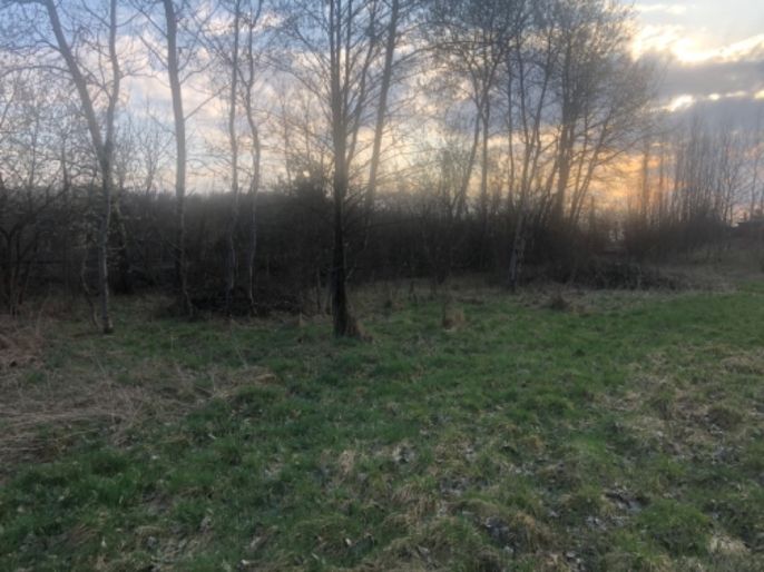 Prodej, Louka, Horní Suchá