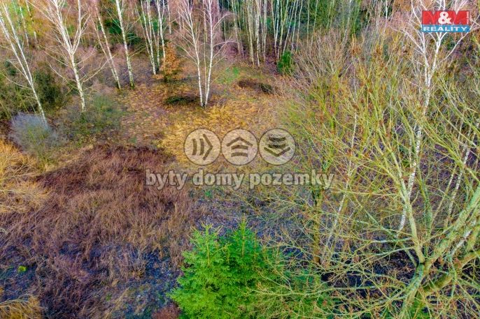 Prodej, Louka, Arnoltice