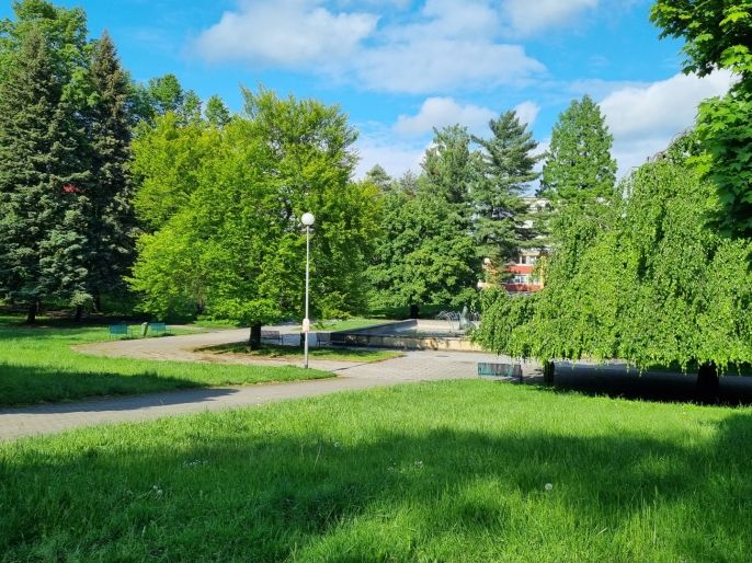 Pronájem, Byt 2+1, Karviná