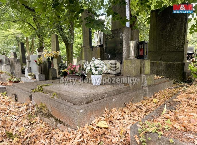 Prodej, Ostatní, Plzeň