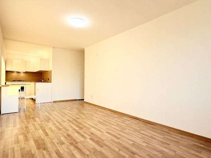 Prodej, Byt 1+kk, Havířov