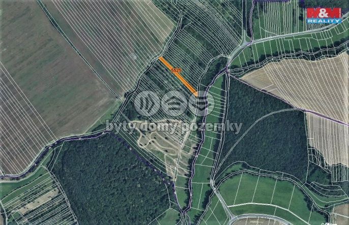 Prodej, Louka, Březolupy