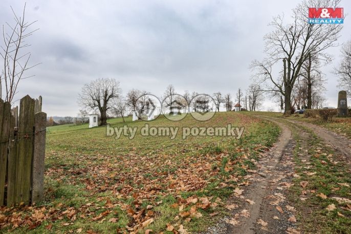 Prodej, Rodinný dům, Mladějovice