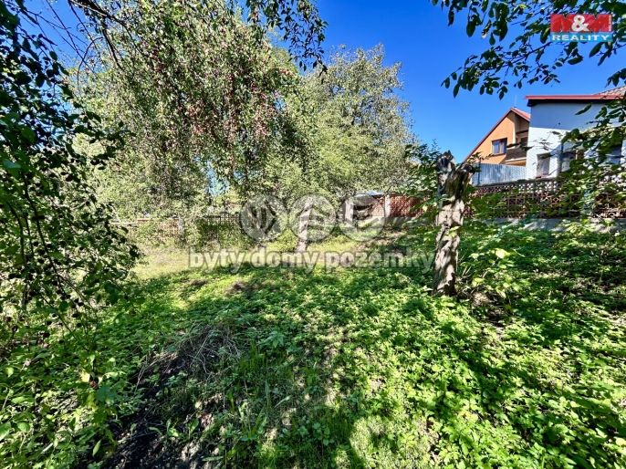 Prodej, Rodinný dům, Protivín