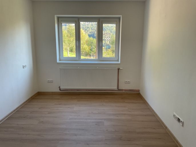 Pronájem, Byt 3+kk, Železný Brod