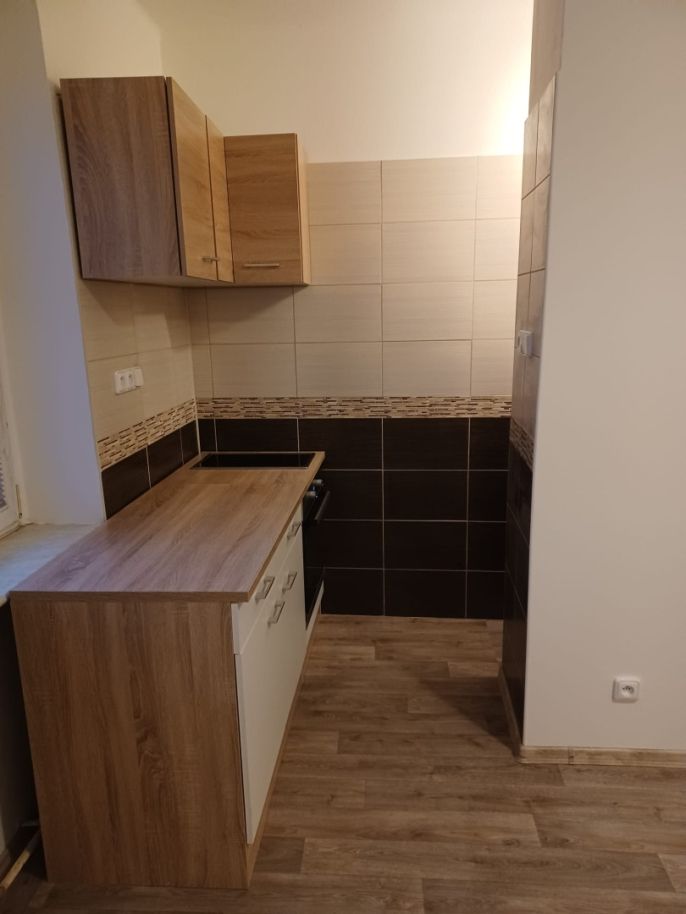 Pronájem, Byt 1+kk, Louny