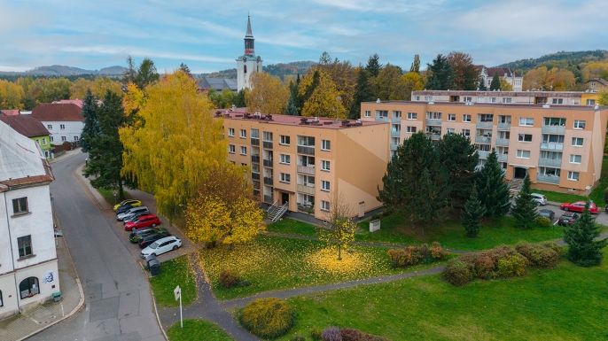 Prodej, Byt 3+1, Cvikov