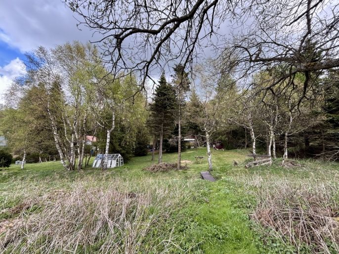 Prodej, Ostatní, Moldava