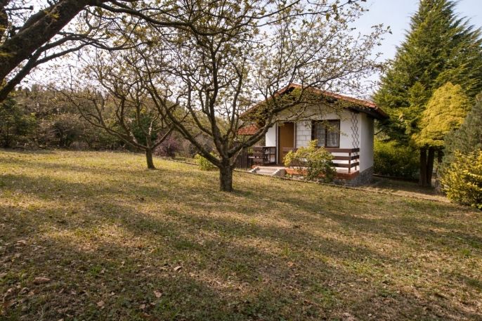 Prodej, Zahrada, Kolín