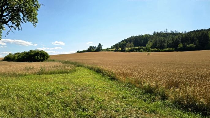 Prodej, Pole, Horažďovice