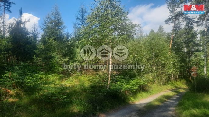 Prodej, Les, Březovice