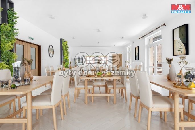 Prodej, Hotel, penzion, Borušov