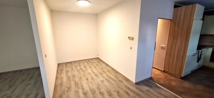 Prodej, Byt 1+kk, Davle