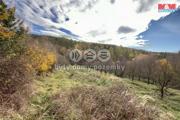 Prodej, Zahrada, Kostelany