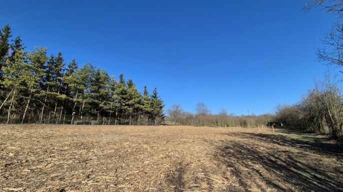 Prodej, Pozemek k bydlení, Slaný