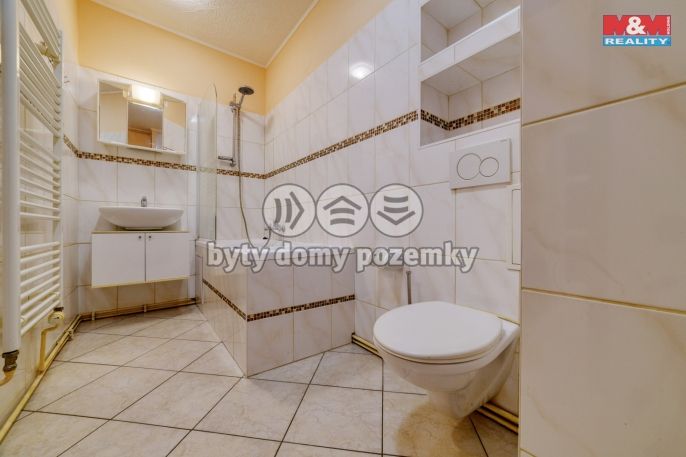 Prodej, Byt 3+1, Aš