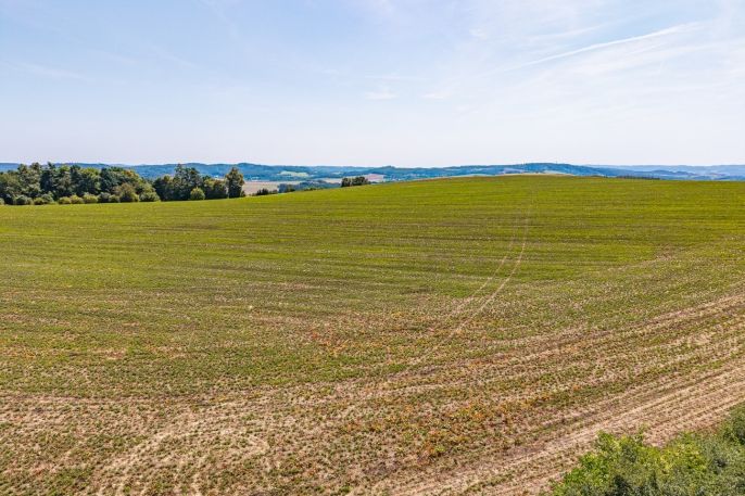 Prodej, Pole, Křečovice