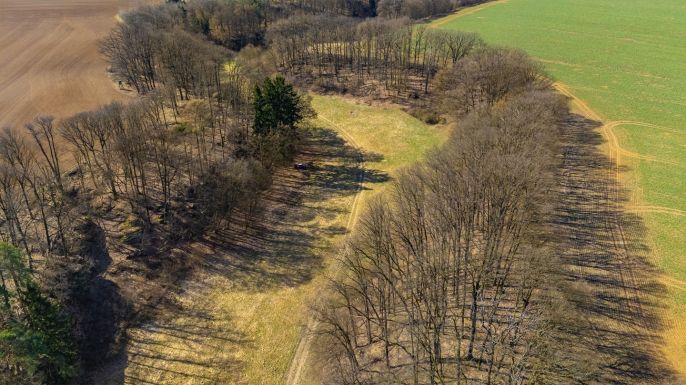 Prodej, Louka, Tachov