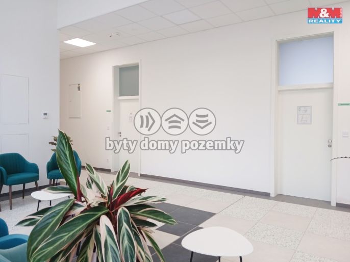 Pronájem, Obchod a služby, Opava