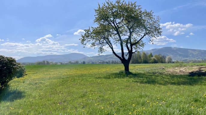 Prodej, Rodinný dům, Raškovice