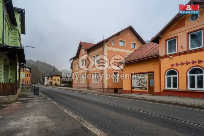 Prodej, Byt 3+1, Desná