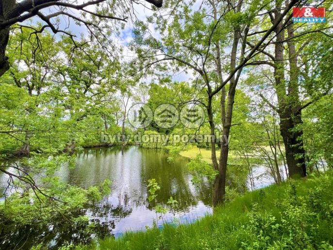 Prodej, Vodní plocha, Žulová