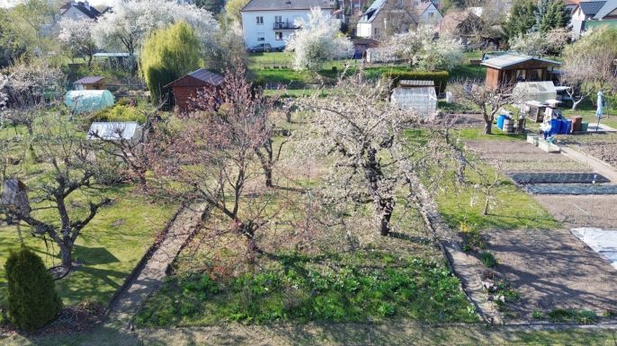 Prodej, Zahrada, Hradec Králové