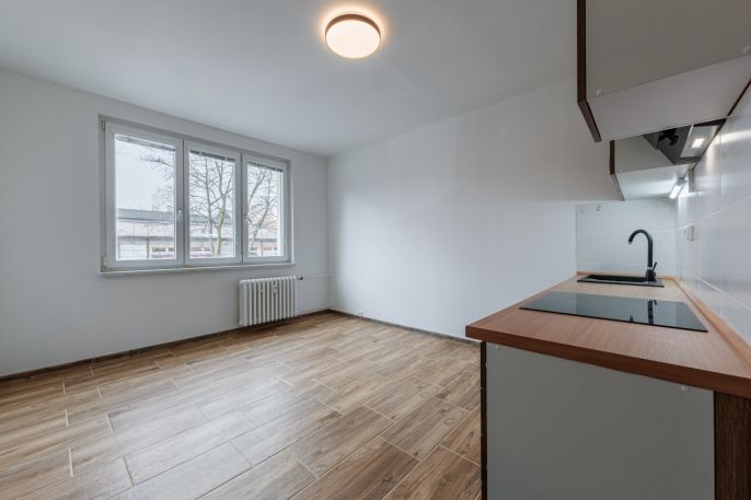 Prodej, Byt 1+1, Chodov