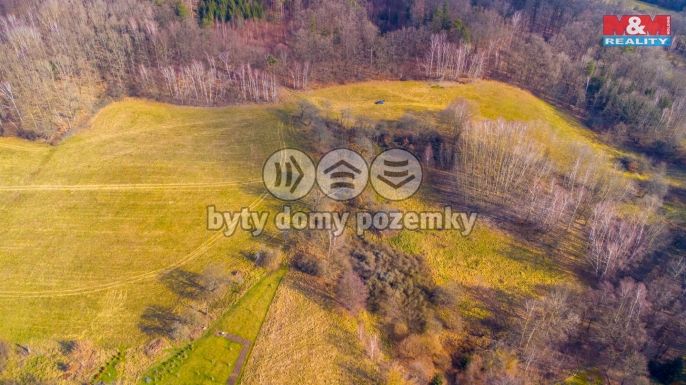 Prodej, Louka, Žandov