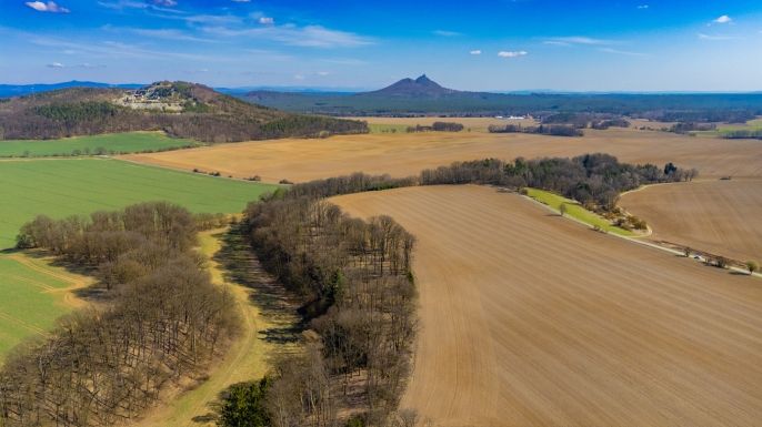 Prodej, Louka, Tachov