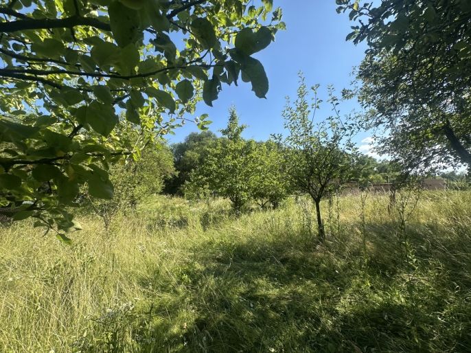 Prodej, Zahrada, Hranice