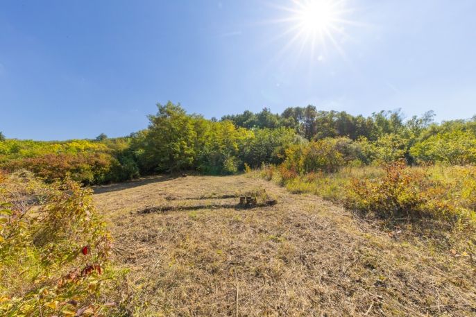 Prodej, Zahrada, Židlochovice